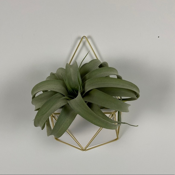 Other - Wall hanging, Home Decor, Plant Hanger